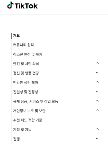 틱톡 규정 가이드라인